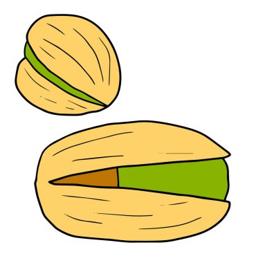 Beyaz arka planda sevimli karalama fıstıkları var. Fındık toplama. 