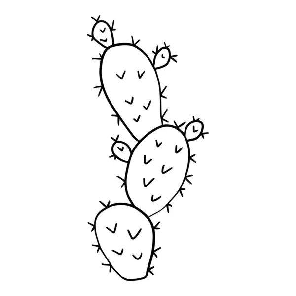 Cartoon Doodle Kaktus Izolované Bílém Pozadí Roztomilý Květinový Pouštní Prvek — Stockový vektor