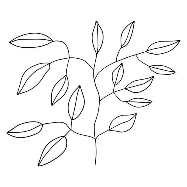 Söta Blommiga Doodle Element Blomma Trädgren Anläggning Isolerad Vit Bakgrund — Stock vektor