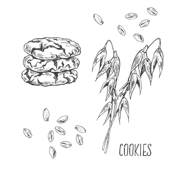 손으로 그린 벡터 비스킷, 쿠키 및 곡물 — 스톡 벡터