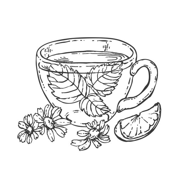 Hand drawn vector herbal tea cup with lemon
