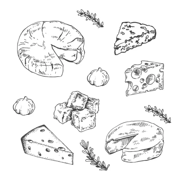 Ručně kreslený vektor čerstvé mléko sýr set — Stockový vektor