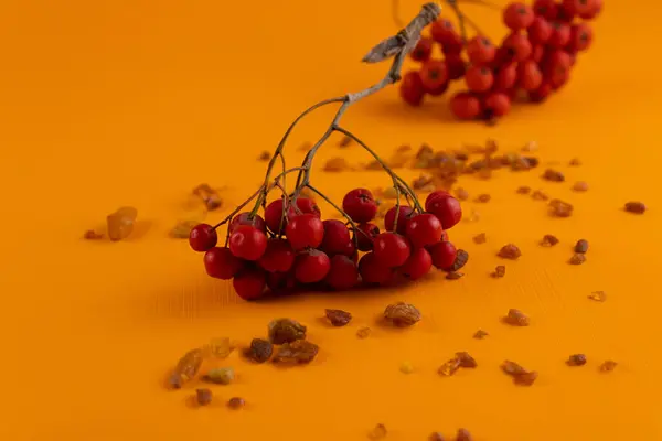 Vogelbeeren Und Natürlicher Bernstein Nahaufnahme Auf Orangefarbenem Hintergrund — Stockfoto