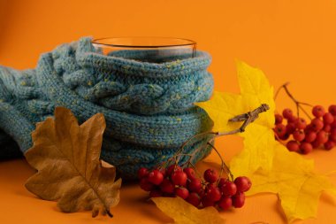 Çay ve sonbahar yapraklı sıcak mavi bir süveter ve turuncu arka planda Rowan meyveleri.