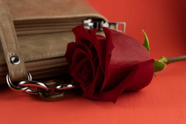 Rosa Rossa Elegante Borsa Donna Primo Piano Sfondo Rosso — Foto Stock