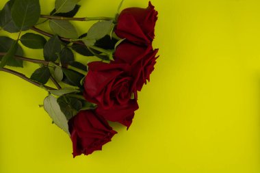 Açık yeşil arkaplanda beş kırmızı gül, üst görünüm, kopyalama alanı.