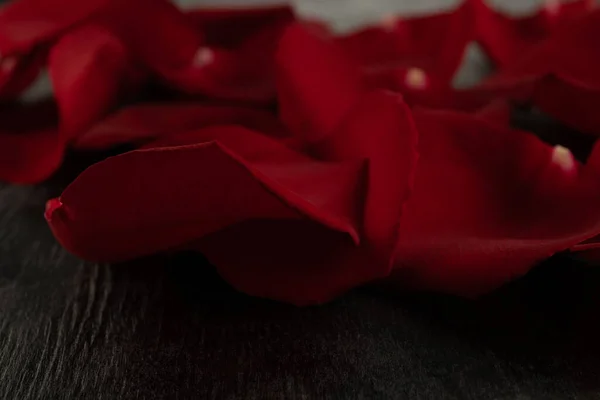 红色的玫瑰花瓣紧贴在黑暗的木制背景上 — 图库照片