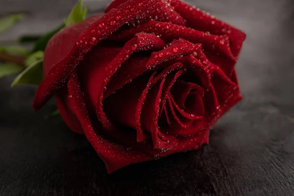 Червона Троянда Бризку Води Крупним Планом Темному Дерев Яному Фоні — стокове фото