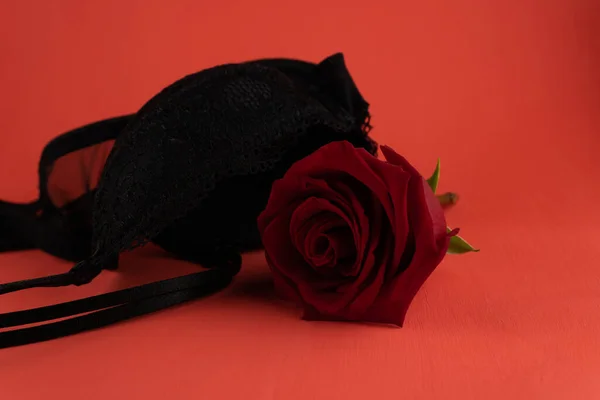 Rosa Escarlate Sutiã Preto Das Mulheres Close Fundo Vermelho — Fotografia de Stock