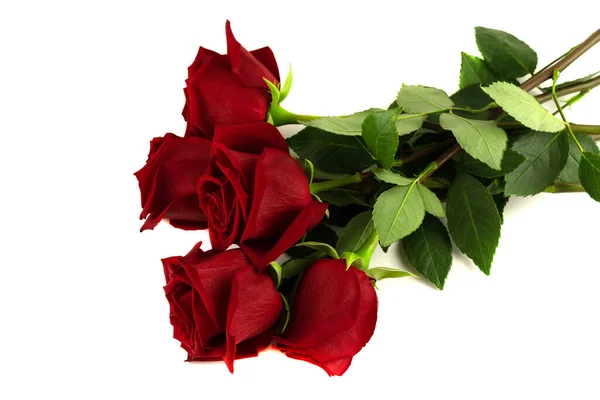 Bouquet Five Red Roses Close Isolated White Background — Stock Photo, Image