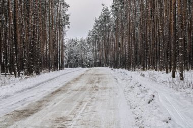 Kış ormanlarında yol, kış manzarası.