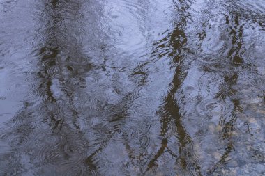 Yağmurdan dolayı suyun üstünde daireler çiziyor..