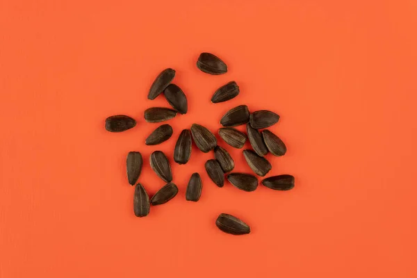 Scattering Sunflower Seeds Close Red Background Top View — Stock Photo, Image