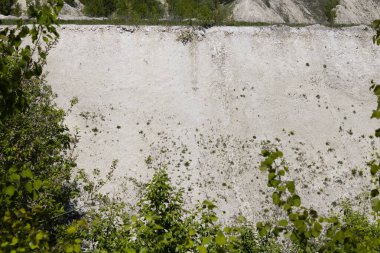 Ağaçlarla kaplı dik bir dağ