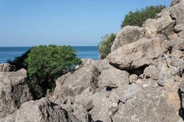 Dağ manzarası ve denizin arkasındaki yeşil ağaçlar.