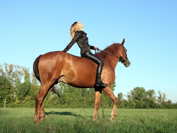 夏のフィールドで馬に乗って美しい若い女性 — ストック写真