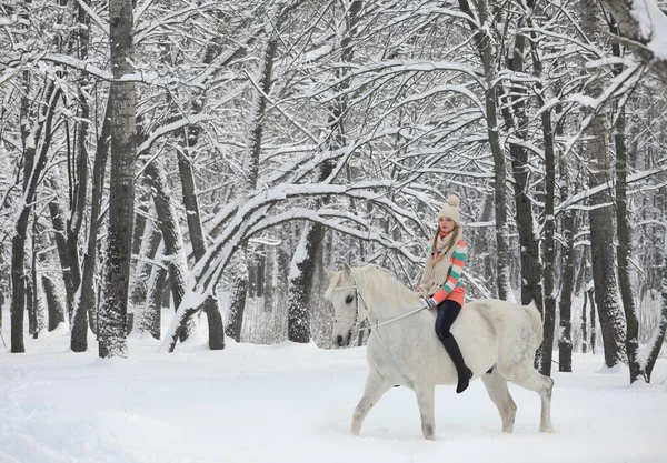 Modèle Équestre Fille Monter Cheval Dans Les Bois Enneigés — Photo