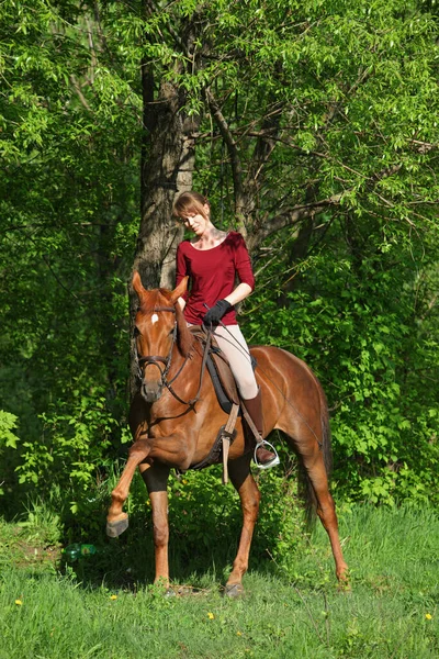 Krásná Modelka Dívka Jezdí Koněm Lese Mýtina Při Západu Slunce — Stock fotografie