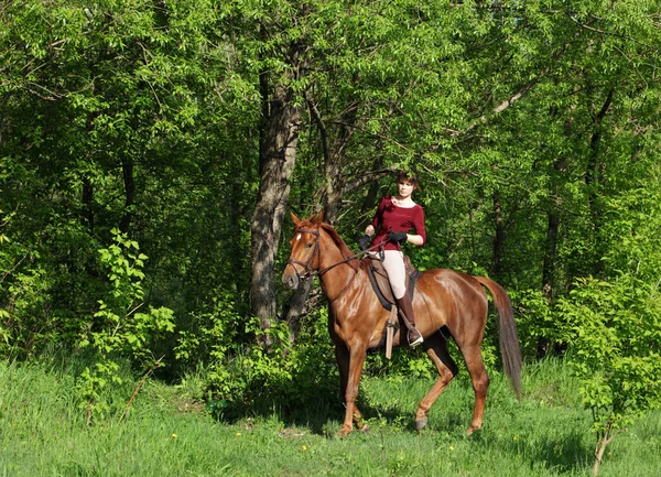 Mooi Model Meisje Ritten Met Paard Bos Glade Bij Zonsondergang — Stockfoto