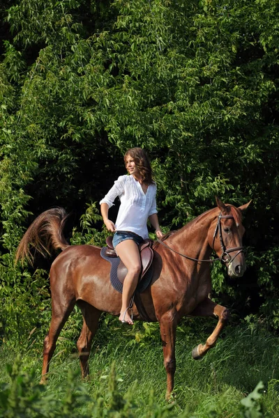 Красивая Модель Девушки Едет Лошадью Лесу Поляне Закате — стоковое фото