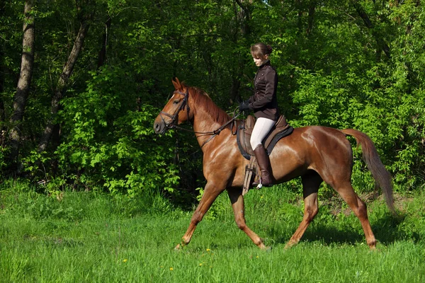 Beautiful Model Girl Rides Horse Woods Glade Sunset — Stock Photo, Image