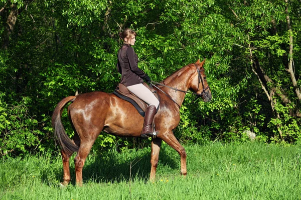 Mooi Model Meisje Ritten Met Paard Bos Glade Bij Zonsondergang — Stockfoto