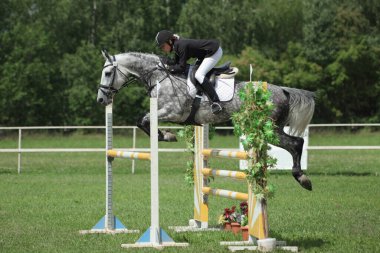 Yaz tarlalarında at binen binici model bir kız.