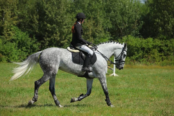 夏のフィールドでスポーツ馬場馬術馬に乗る馬術モデルの女の子 — ストック写真