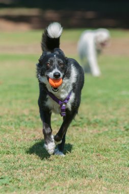 İstekli ve heyecanlı
