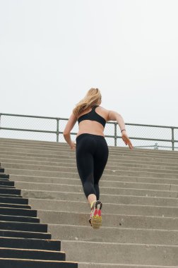 Çalışkan siyah kaplı