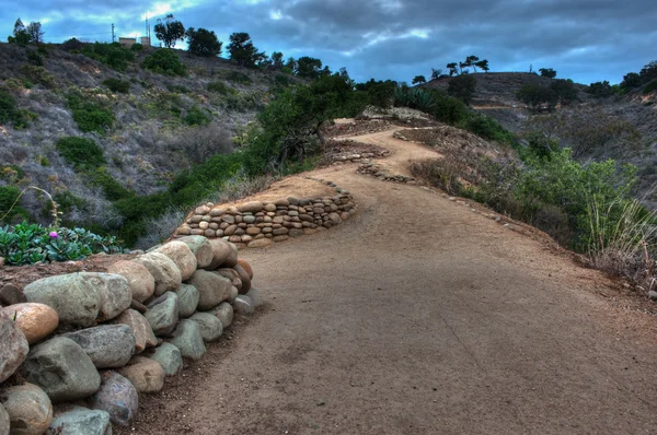 On the right path — Stock Photo, Image