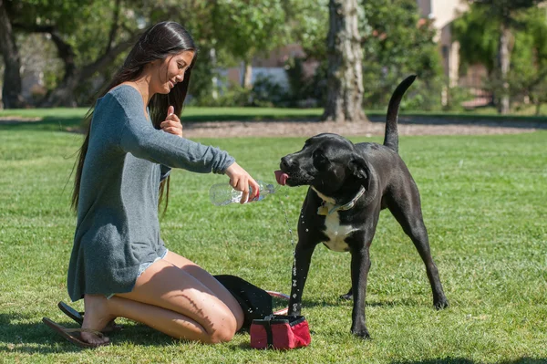 Water break during playtime — Stock Photo, Image