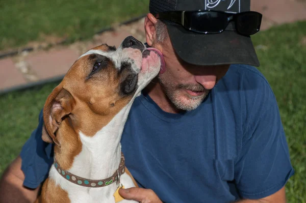 Kulak yalama Görünümü Kapat