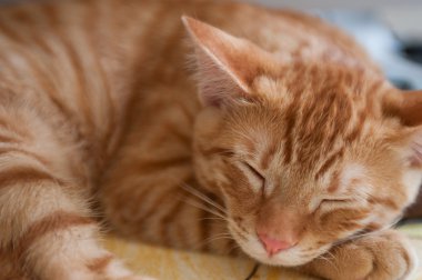 Yakın mesafeden konfor