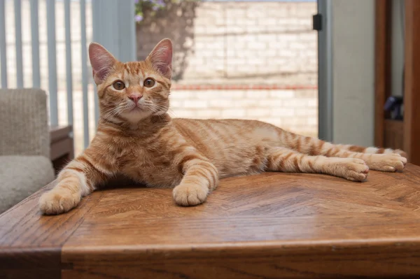 Kötü olmak çok iyi geldi