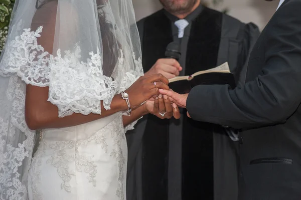 alışverişi halkaları