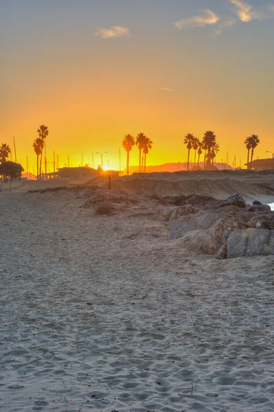 Ventura soluppgång från mellan palm silhuetter. — Stockfoto