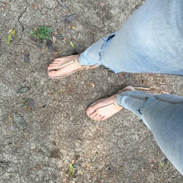 Zapatos dorados de mujer y espacio libre — Foto de Stock