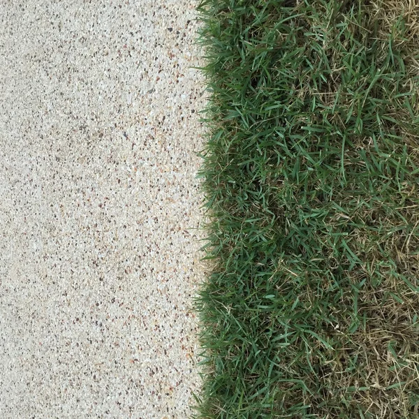 Zielona trawa z glebą — Zdjęcie stockowe
