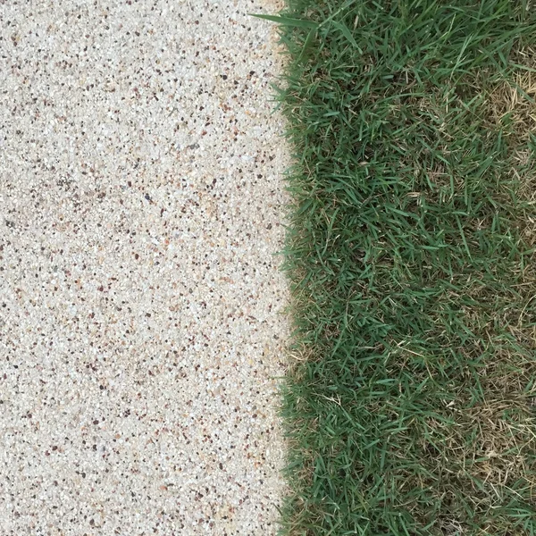 Zielona trawa z glebą — Zdjęcie stockowe
