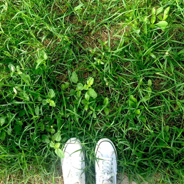 Feet in white sneakers on green grass, top view, informal style — Stock Photo, Image
