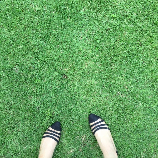Primo piano di scarpe femminili alla moda. Scarpe moda outdoor concetto di calzature su sfondo erba — Foto Stock