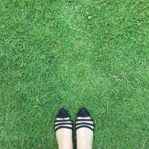 Close up of stylish female shoes. Outdoor fashion shoes footwear concept on grass background — Stock Photo, Image