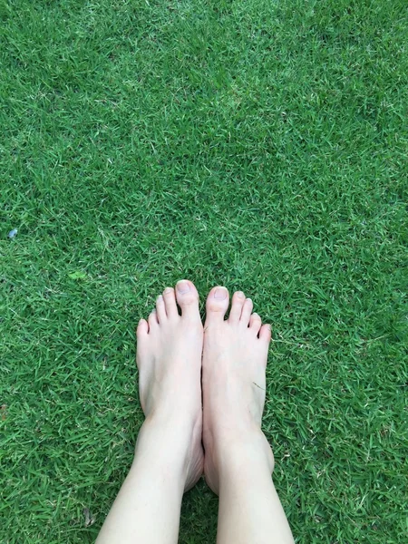 Foten över grönt gräs bakgrund — Stockfoto