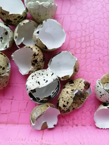 Temiz Benekli Pürüzlü Bıldırcın Yumurtası Kabukları Pembe Arka Planda — Stok fotoğraf