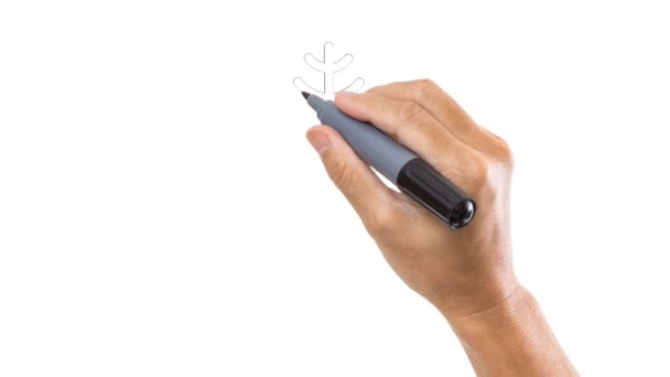 Flocon Neige Contour Icône Animation Vidéo Dessiné Main Comme Symbole — Video