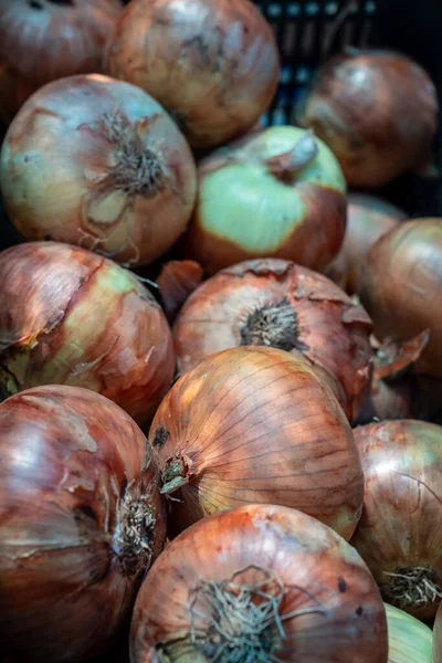 Bir sepet soğan, organik yetiştirilmiş.