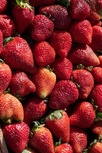 Sokak pazarında doğal organik çilekler.