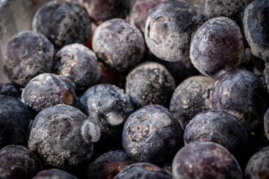 Detaylı donmuş yaban mersini makrosu buz kristalleriyle kaplı. Tazelik, soğuk koruma ve saf organik gıdanın doğal ifadesi..