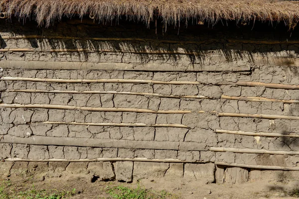 Arjantin 'in kırsal kesimlerinde kullanılan kamış çatılı çamur ve tacuara bastonundan yapılmış geleneksel bir duvarın ayrıntıları..